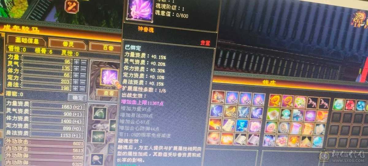 所有副本都可以刷
