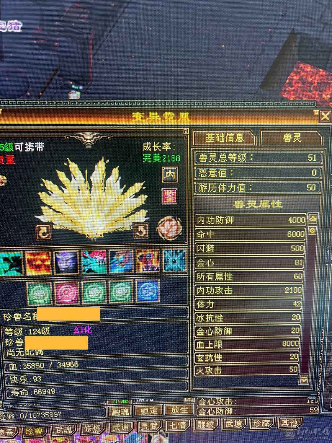 碎碎推荐：满6带7  三修 高冰抗 满8带9调 新雕文5-6 