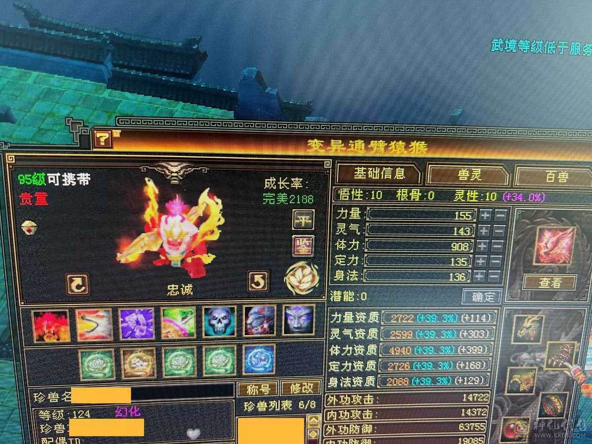 碎碎推荐：满6带7  三修 高冰抗 满8带9调 新雕文5-6 