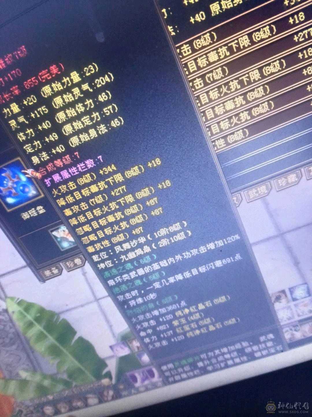 极品5级号秒便宜