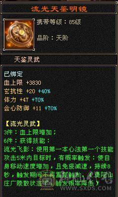 6110属双修，裸火抗1000少林，5神白虎，带4阶出战白虎，新雕文一半都是5，截图很全，有替换副武装备，可转武当