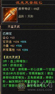 6110属双修，裸火抗1000少林，5神白虎，带4阶出战白虎，新雕文一半都是5，截图很全，有替换副武装备，可转武当