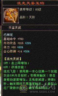 6110属双修，裸火抗1000少林，5神白虎，带4阶出战白虎，新雕文一半都是5，截图很全，有替换副武装备，可转武当