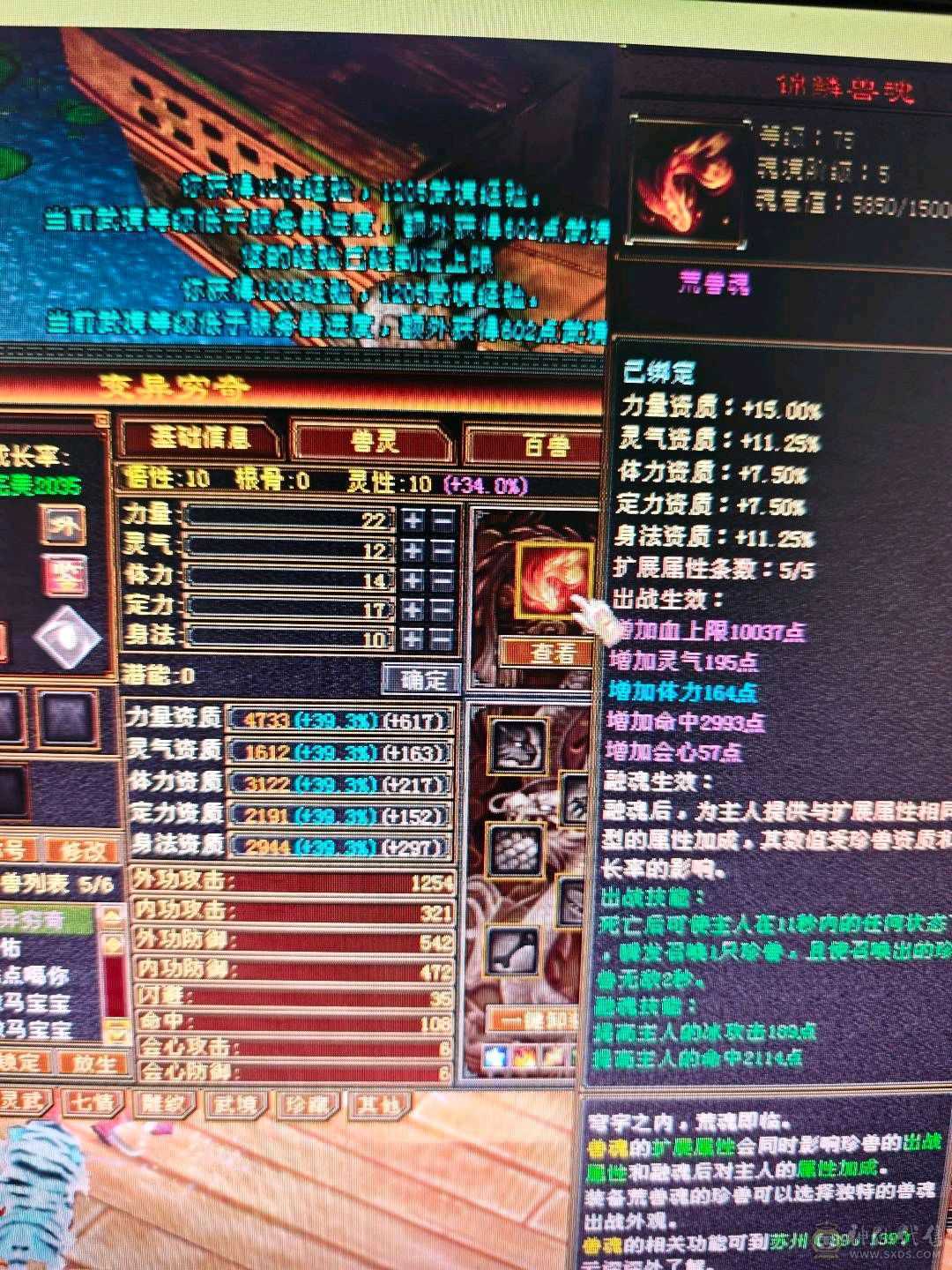 气武当，修炼武道已满，做装备人品好