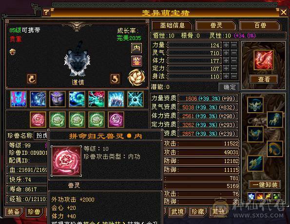 成品5级号，神4荒6，带拼10，高命中会心，欢迎对比。