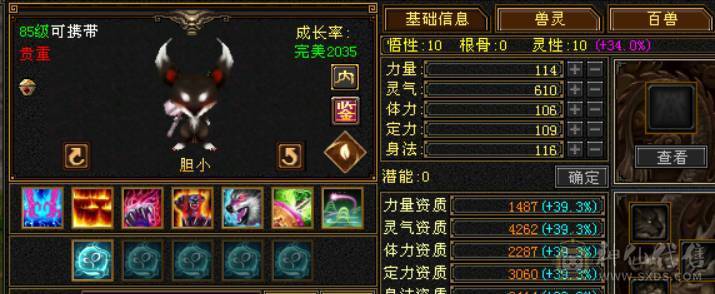 【邀月推荐】完美防具饰品装备，完美星宿胚子，主打性价比。