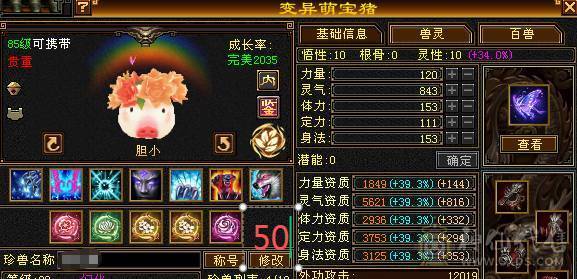 晚晚推荐：三修极限6带单排7属，9-6雕纹，900多减，近7万命中，580会心，6神，大衣柜，四级金箍棒