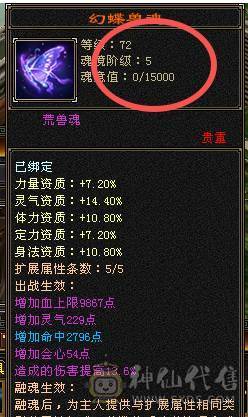 7000多属明教满状态8000属性带骨翼