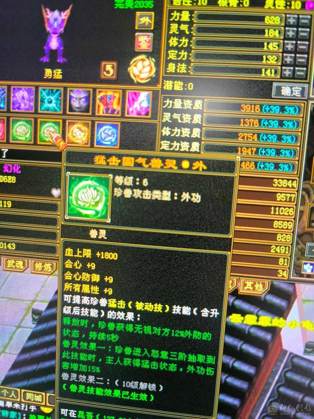 最低价不砍低价出带50灵外功，拆开卖宝宝都回本和拼命10顶变电龙3只宝宝不玩随时回本