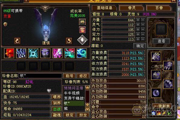 5体5属5定36万承伤气武当