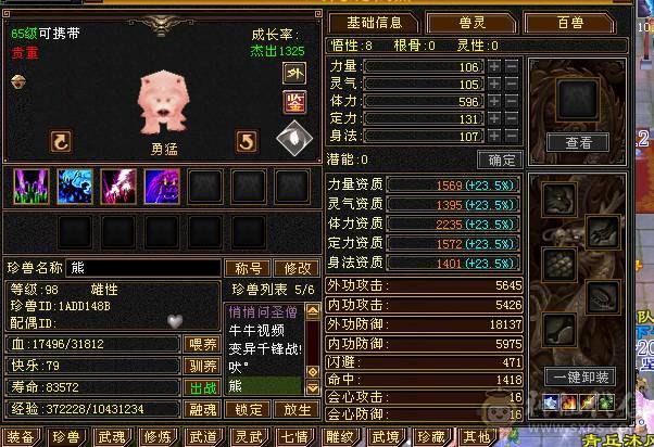 5体5属5定36万承伤气武当