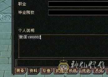 安然推荐:裸属7773，雕文8-5，4级配饰多，雪猿坐骑