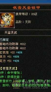 安然推荐:裸属7773，雕文8-5，4级配饰多，雪猿坐骑
