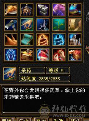 50万血6000属5神5橙洗好全满双稀有骨翼