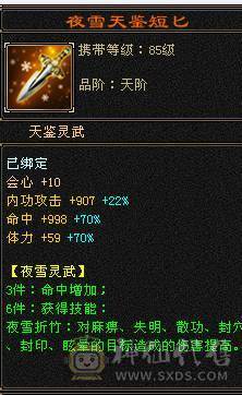 【邀月推荐】60W血四修大天龙，伤害很炸，命中超高5万，状态栏看得到，一套5级12颗冰抗一套毒抗，属性替换仓库05能到6200，极品锁甲05，马上5神