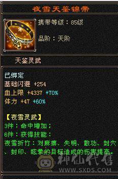 【邀月推荐】60W血四修大天龙，伤害很炸，命中超高5万，状态栏看得到，一套5级12颗冰抗一套毒抗，属性替换仓库05能到6200，极品锁甲05，马上5神