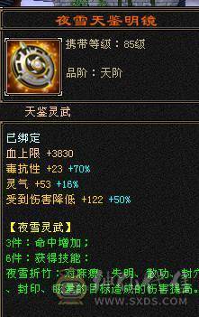 【邀月推荐】60W血四修大天龙，伤害很炸，命中超高5万，状态栏看得到，一套5级12颗冰抗一套毒抗，属性替换仓库05能到6200，极品锁甲05，马上5神