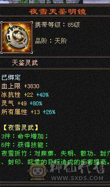 【邀月推荐】60W血四修大天龙，伤害很炸，命中超高5万，状态栏看得到，一套5级12颗冰抗一套毒抗，属性替换仓库05能到6200，极品锁甲05，马上5神